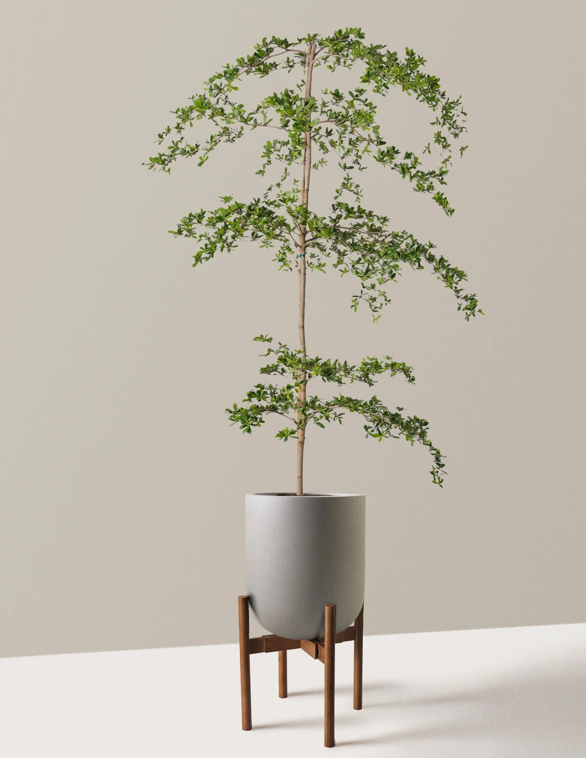 Product image 64