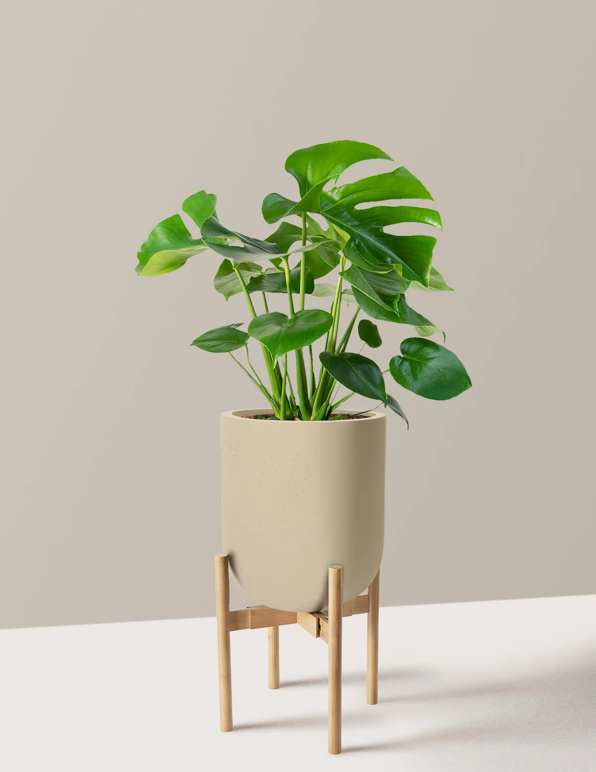Product image 86
