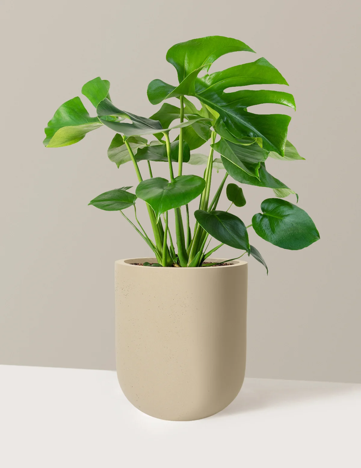 Product image 87