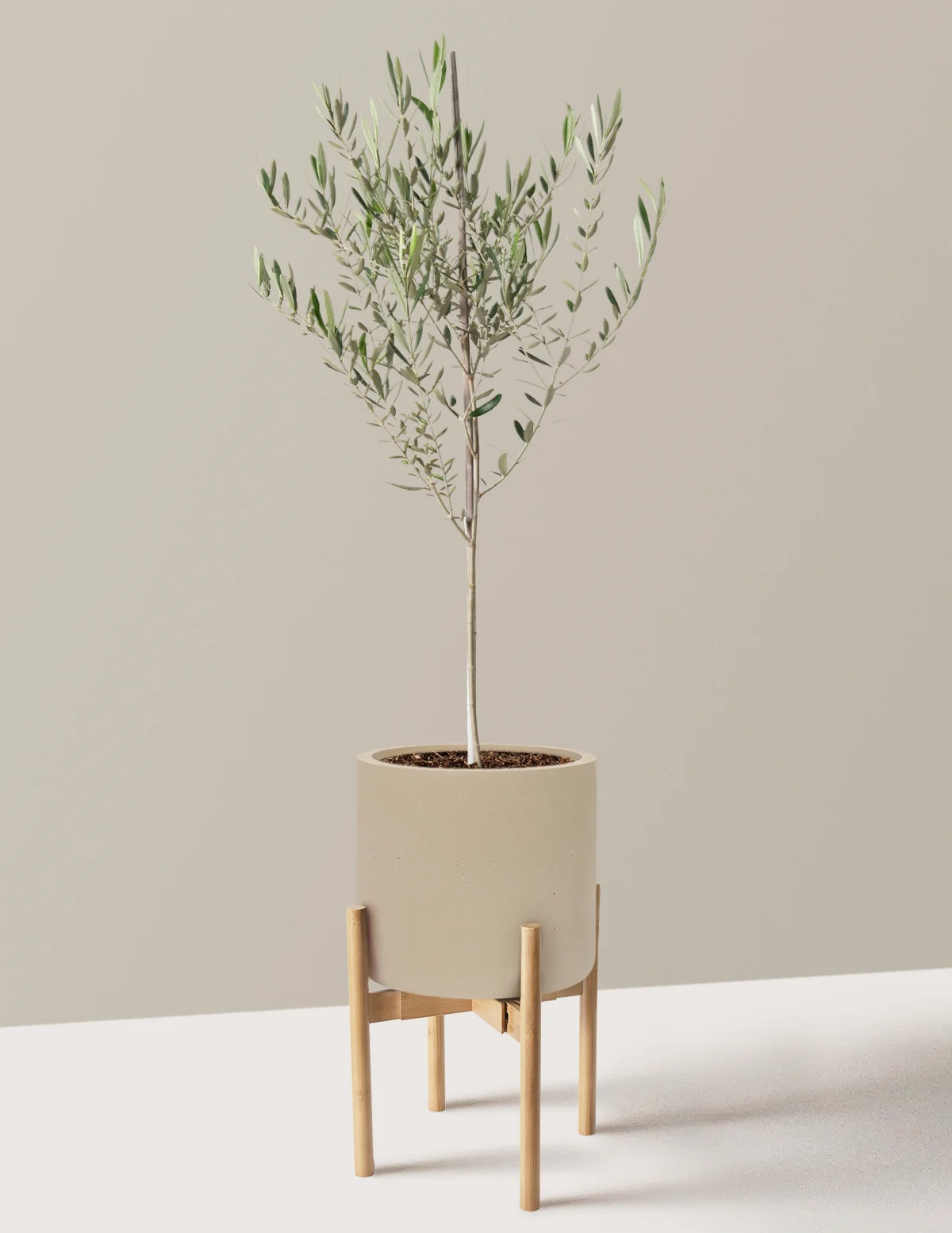 Product image 84