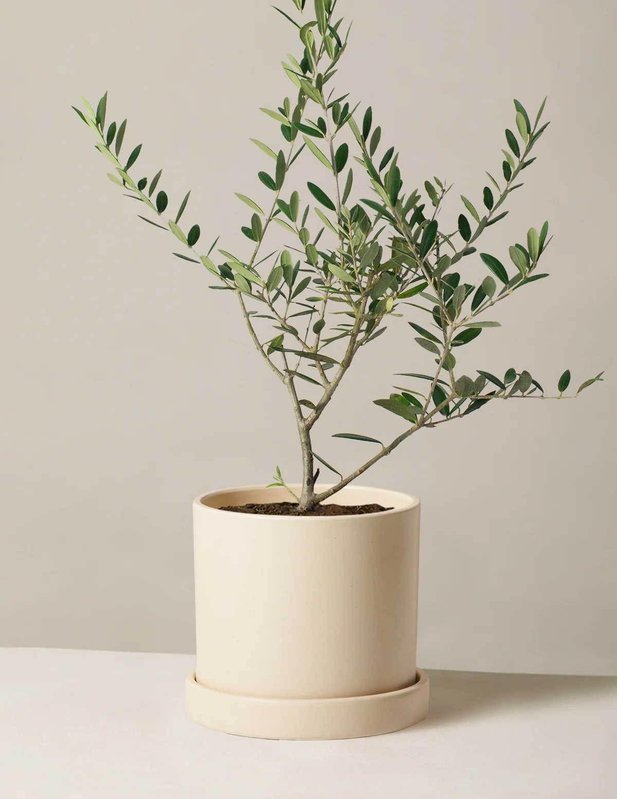 Product image 92