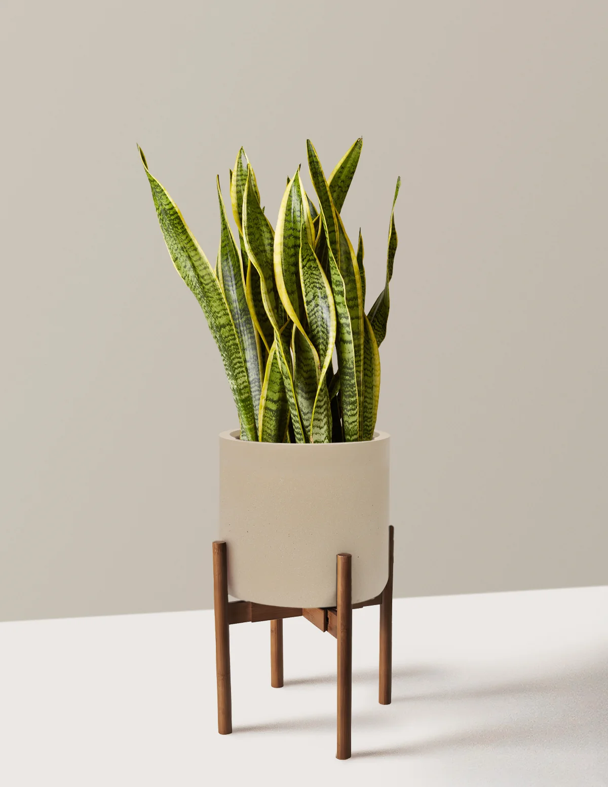 Product image 84