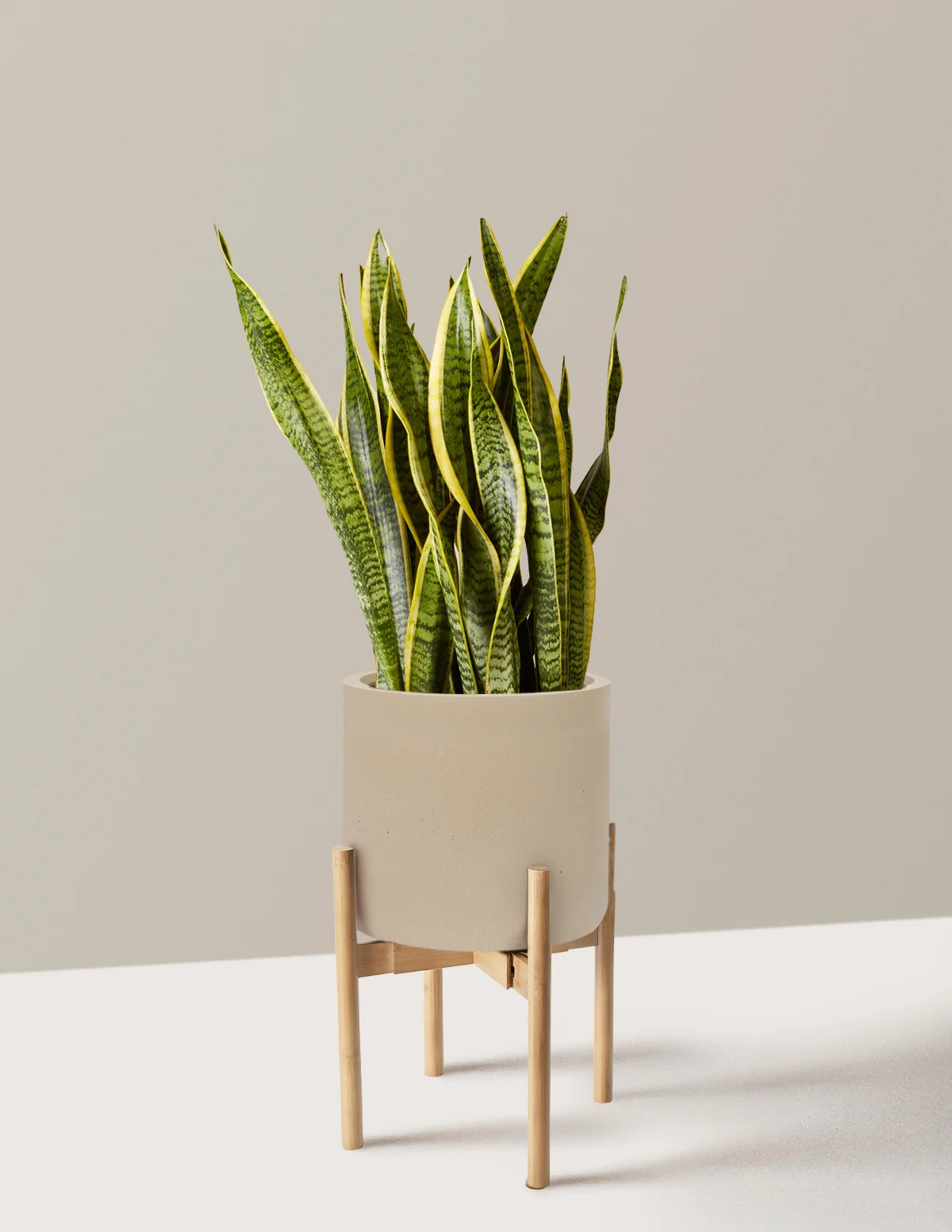 Product image 85