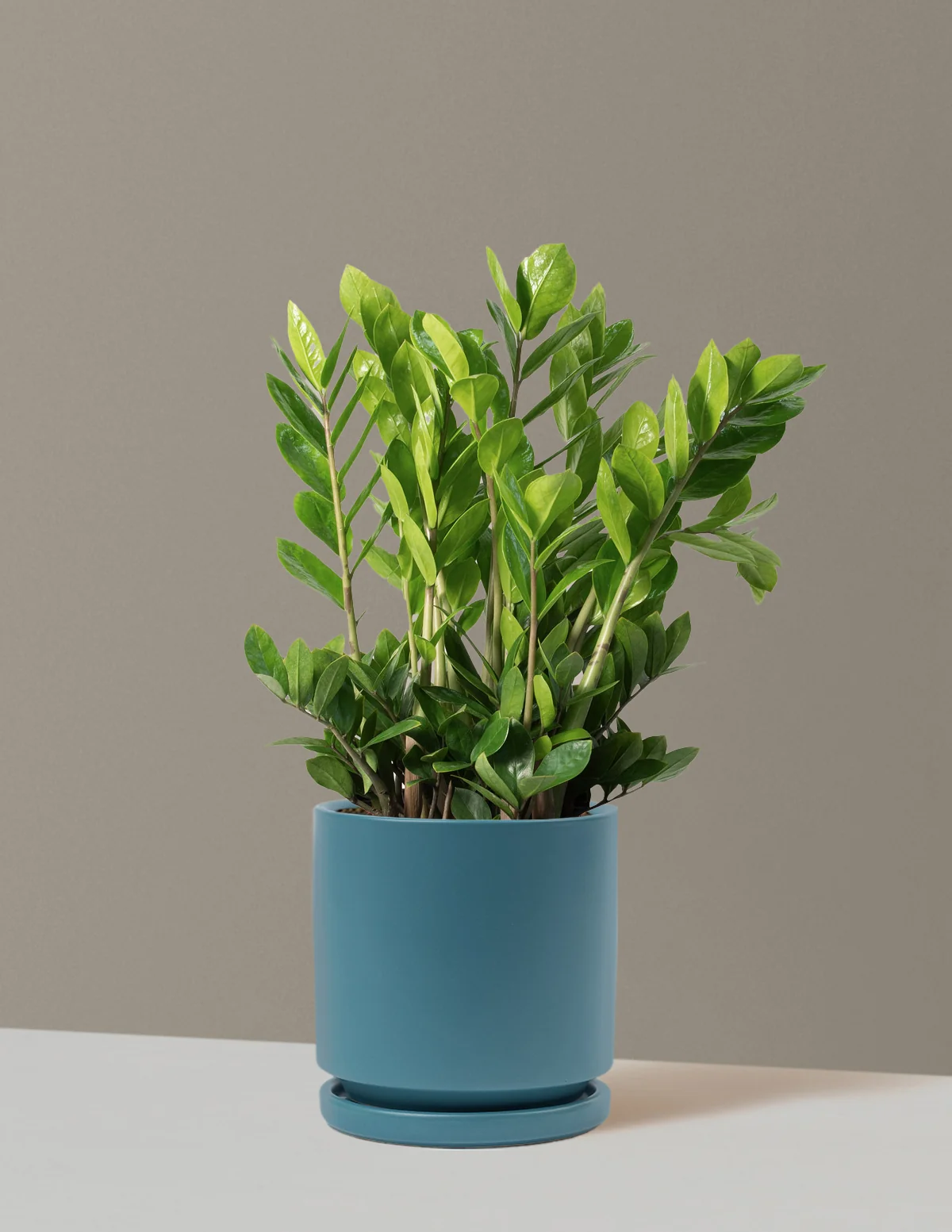Product image 72