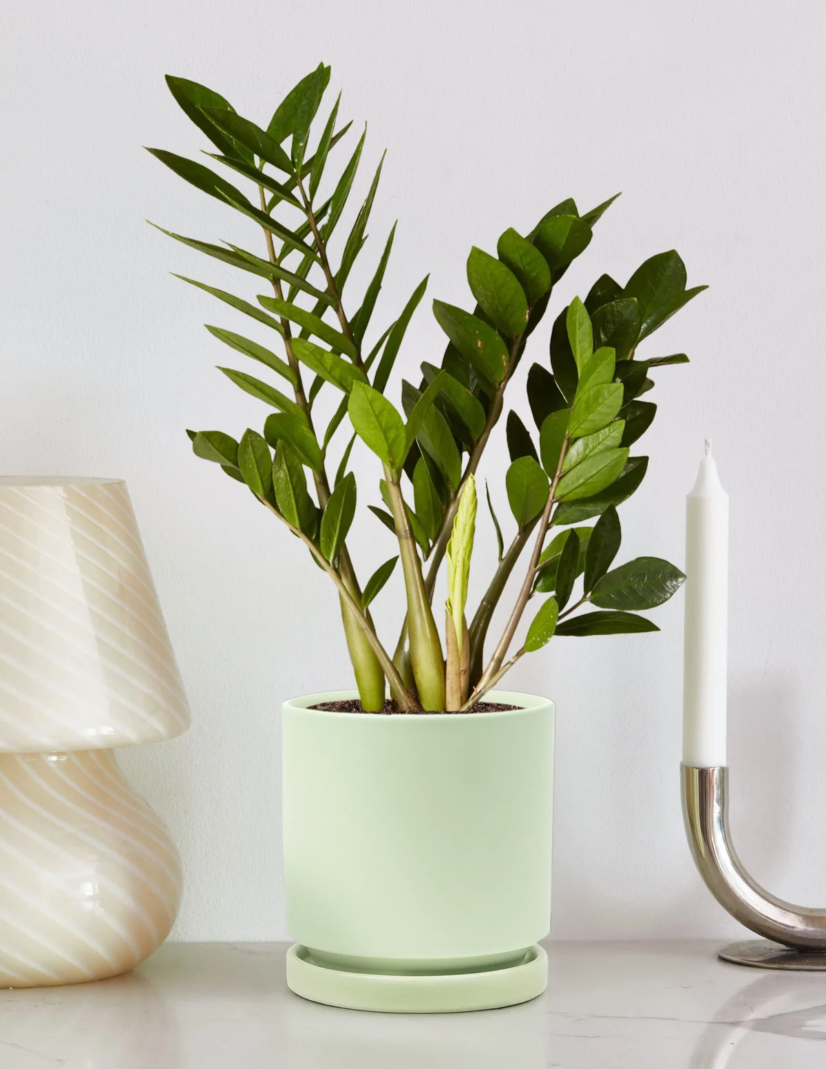 Product image 81