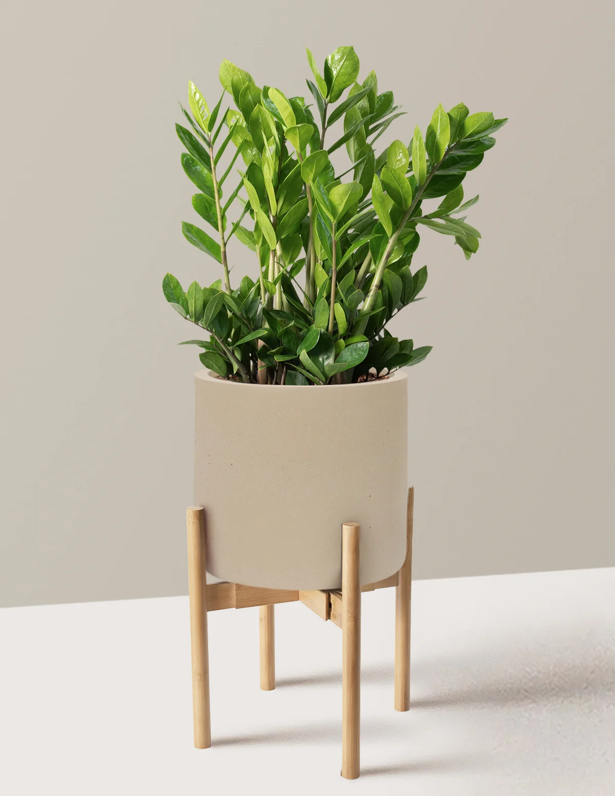 Product image 84